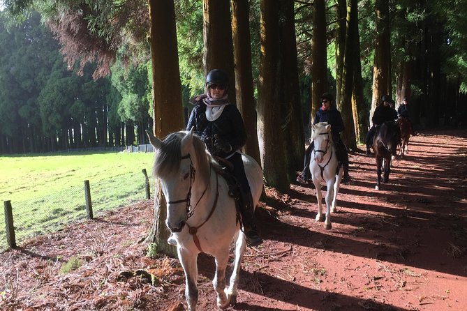 ride a volcano - go to the gardens in the woods - The 467-meter viewpoint and south-coast panorama payoff
