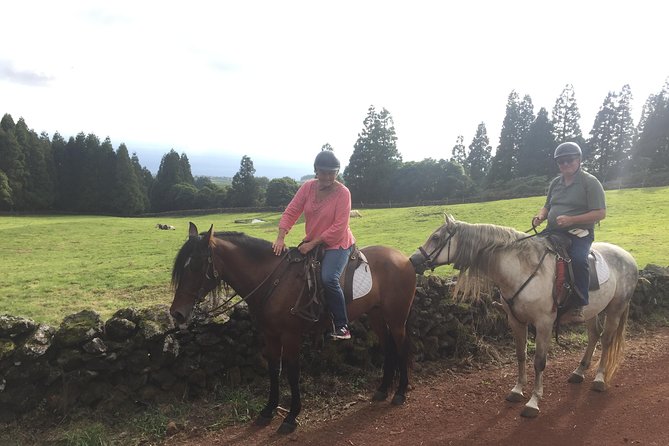 ride a volcano - go to the gardens in the woods - Meeting point logistics and getting there without stress