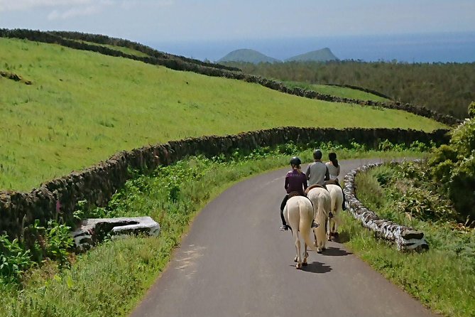 ride a volcano - go to the gardens in the woods - Weather check and what happens if the plan changes