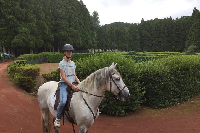 ride a volcano - go to the gardens in the woods - The ride itself: what “woodland + gardens” feels like in real time
