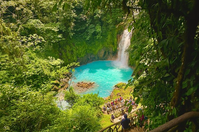 Rio Celeste Expedition – Sloths, Waterfalls & Nature's Magic - Coffee and chocolate in Upala: a short stop with real context