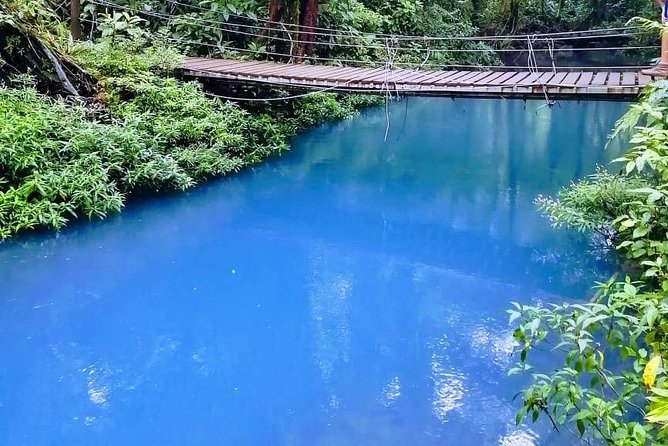 Rio Celeste, Tenorio Hike, Sloths Sanctuary & Meal - Lunch and the Pace: What the Day Feels Like