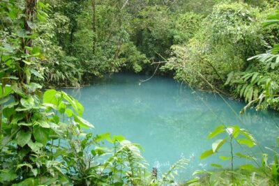 Rio Celeste Waterfall Hike from Arenal - The early drive and Tenorio Volcano National Park setup
