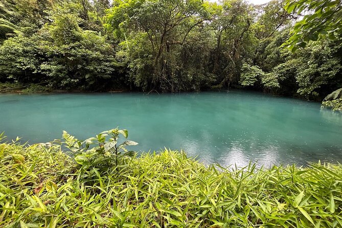 Rio Celeste Waterfall Plus Sloths and wildlife Sanctuary - Tamarindo to Tenorio: The Real Promise of This Day