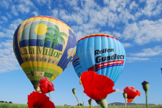 Romantic Sunrise Balloon Tour in Majorca - The hands-on reality: inflation, grass fields, and what to wear