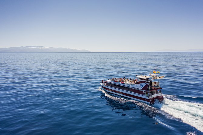 Royal Delfin - 2Hour Sustainable Dolphin & Whale Watching Mini Cruise - Key Points You’ll Care About