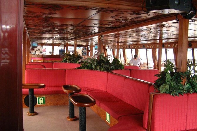 Royal Delfin - 2Hour Sustainable Dolphin & Whale Watching Mini Cruise - Crowds, Comfort, and the Seasickness Question