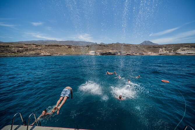 Royal Delfin 3H Dolphin & Whale Watching! Swimming & Lunch! - Diego Hernandez Bay swim stop: the bright break in the schedule