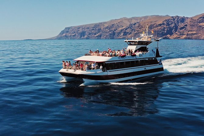 Royal Delfin - 4'5H Dolphin & Whale Watching - Los Gigantes Masca - Lunch & Swim - Dolphin and whale watching with underwater glass windows