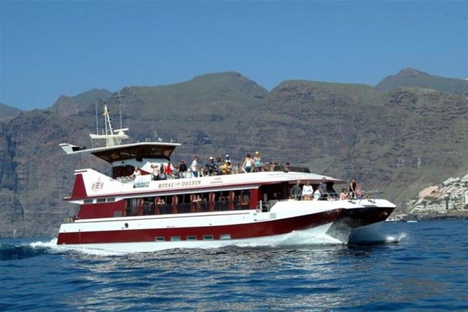 Royal Dolphin Whale watching excursion - Seasickness is the wildcard: bring a motion plan