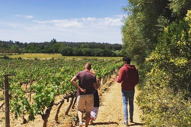 Sa Clasta Mallorca Wine Tours - Hotel pickup and the small-group setup that saves your day
