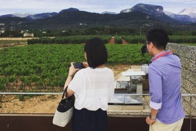 Sa Clasta Mallorca Wine Tours - Two wineries in Mallorca’s interior: the real heart of the tour