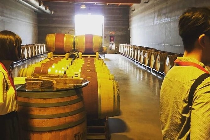 Sa Clasta Mallorca Wine Tours - Price and value: what $187.45 buys you in real terms