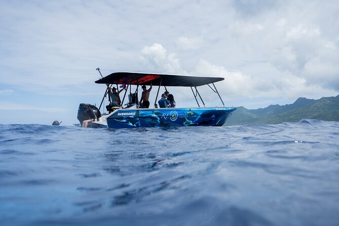 Sacred Experience Swimming with a Whale in Moorea - What’s included (and what it means for how you pack)