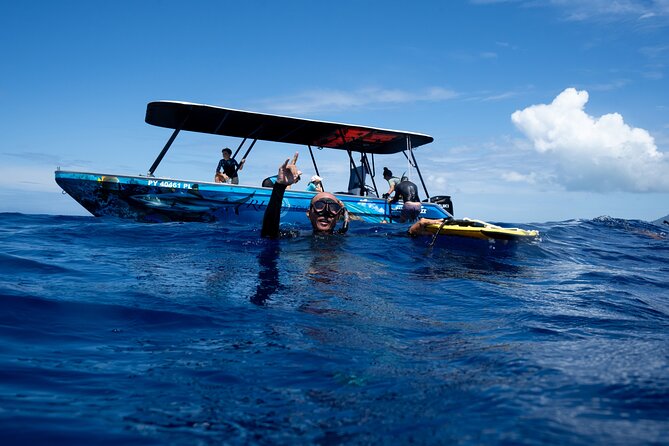 Sacred Experience Swimming with a Whale in Moorea - Price: is $157.90 actually good value?