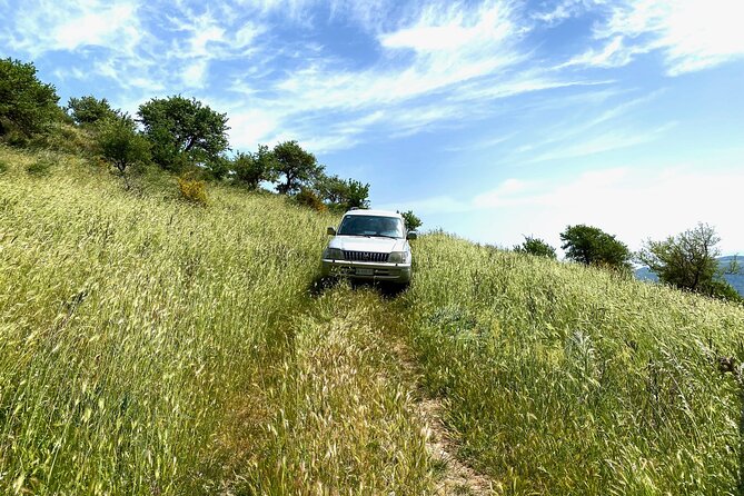 Safari Jeep Wild Adventure - Wild Sicily on Dirt Roads: Flora, Fauna, and Eagle-Spotting