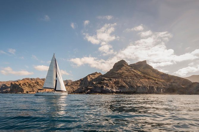 Sailing Trip and Snorkeling (max. 8 people) - The Snorkeling and SUP Water Stop: Clear Water Time