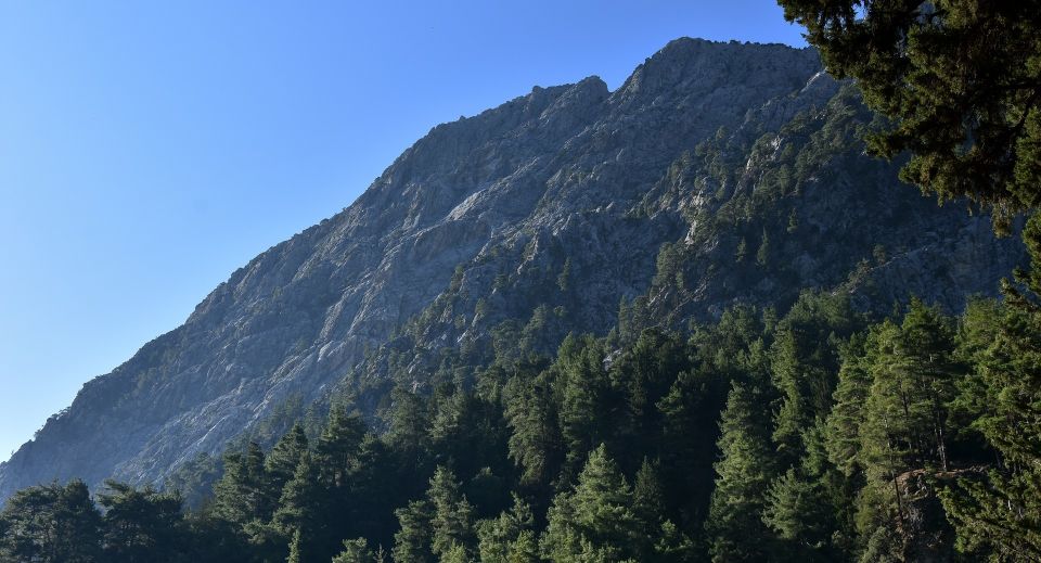 Samariá Gorge Hike: Day Excursion from Chania - A Day Excursion From Chania: The Bus Ride and the Big Picture