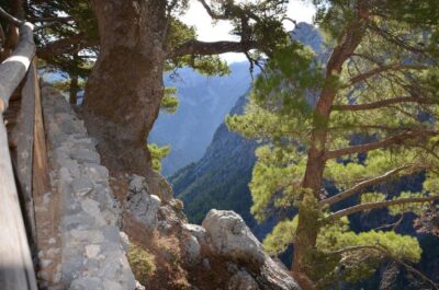 Samariá Gorge Hike: Day Excursion from Chania - Samariá Gorge in Plain Terms: 18 km of Rocky, Uneven Footing