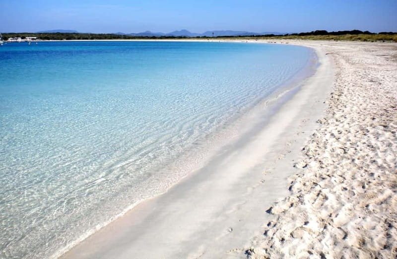 San Antonio: Es Vedrà & Formentera Boat Tour with Snorkeling - Meeting point in San Antonio harbour: get your bearings fast