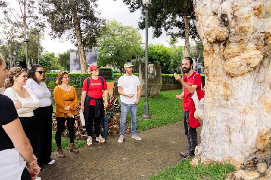 San José: Night Food and Culture Tour with Dinner - Agüizotes Gastro Pub dinner: what you’re really paying for