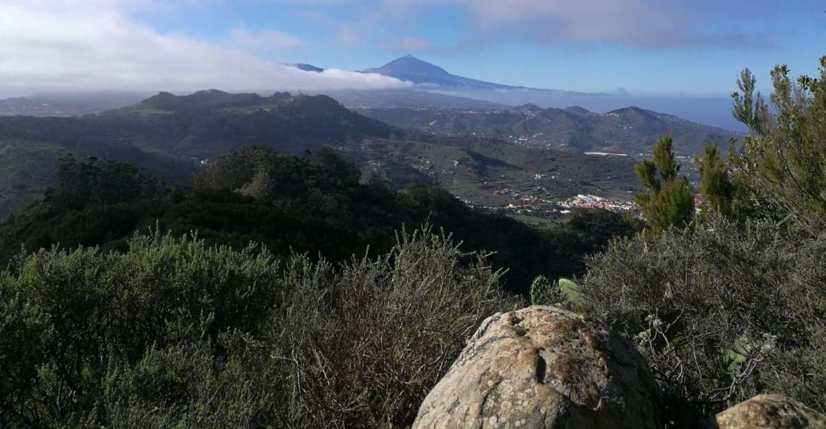 Santa Cruz de Tenerife: 2-Hour Hiking Tour in Anaga Forest - Why Anaga Forest Works for First-Time Hikers