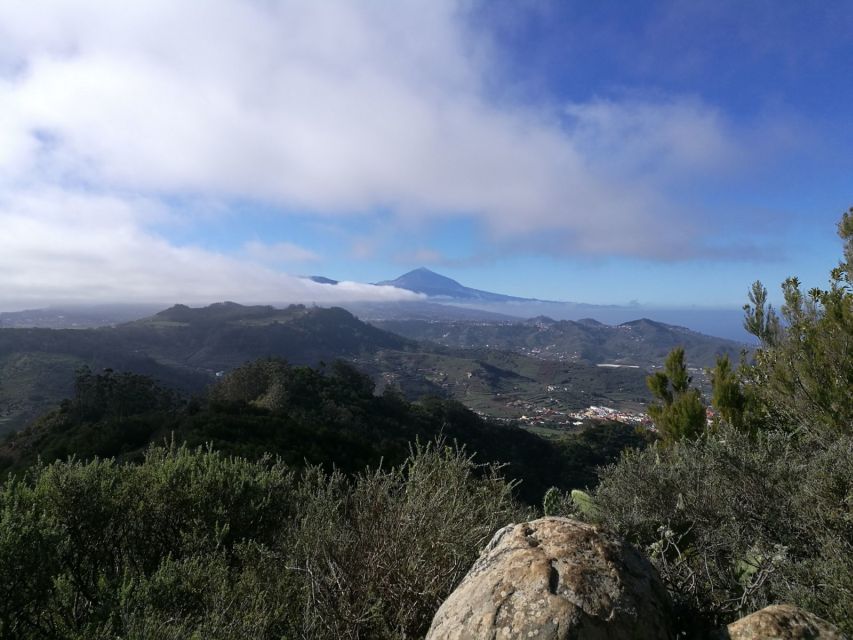 Santa Cruz de Tenerife: 2-Hour Hiking Tour in Anaga Forest - The 2.5-Hour Walk in Anaga: What the Trail Feels Like