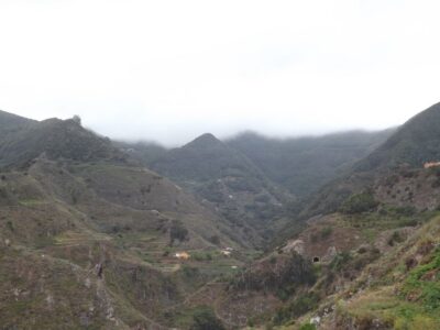 Santa Cruz de Tenerife: 2-Hour Hiking Tour in Anaga Forest - From Santa Cruz to Cafetería Carmita: Start Without Stress