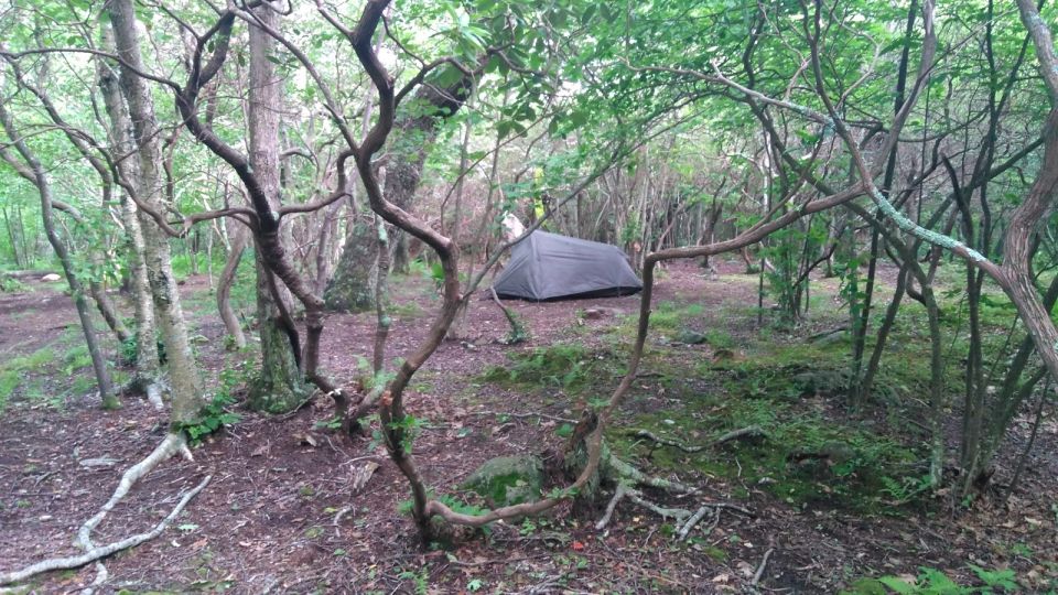 Santa Cruz de Tenerife: 2-Hour Hiking Tour in Anaga Forest - What to Bring (and the Simple Rules That Matter)