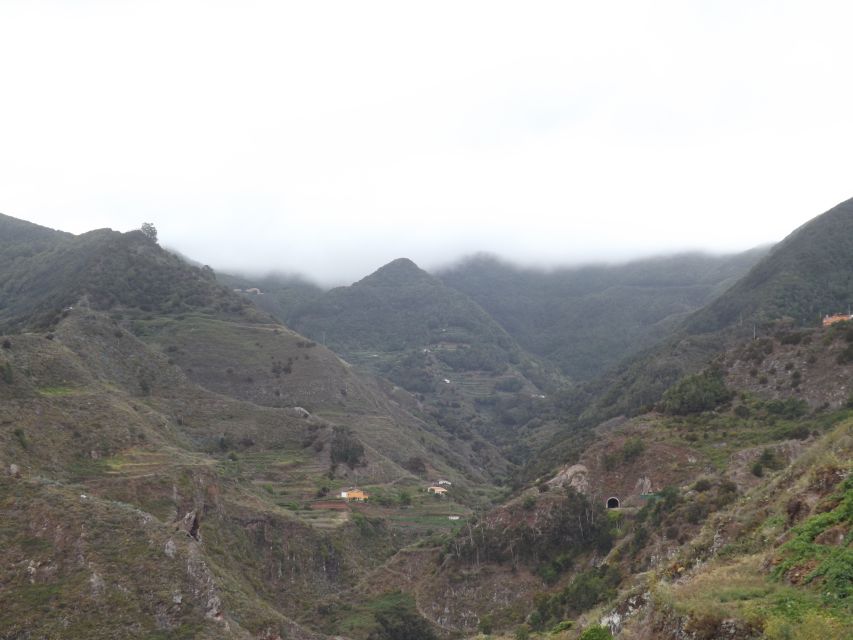 Santa Cruz de Tenerife: 2-Hour Hiking Tour in Anaga Forest - From Santa Cruz to Cafetería Carmita: Start Without Stress