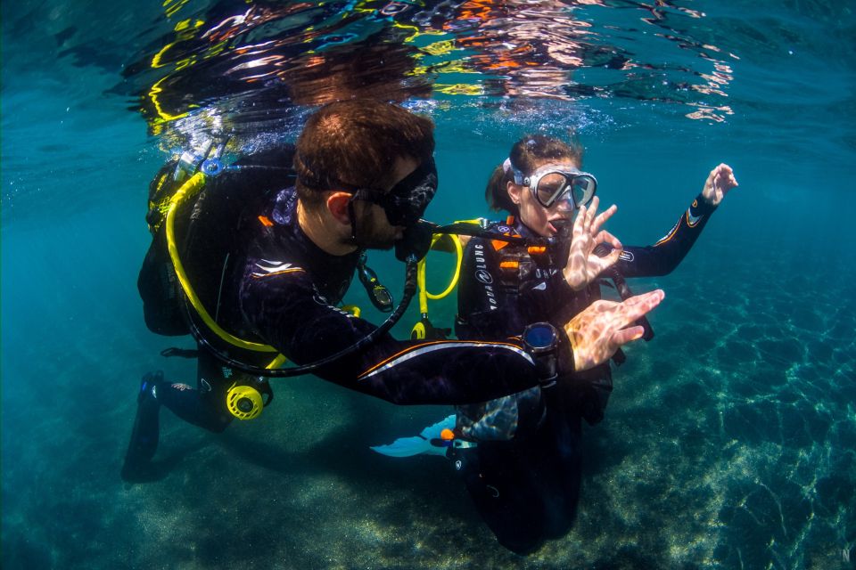 Santa Cruz de Tenerife: Beginner's Diving & Introduction - Key highlights at a glance