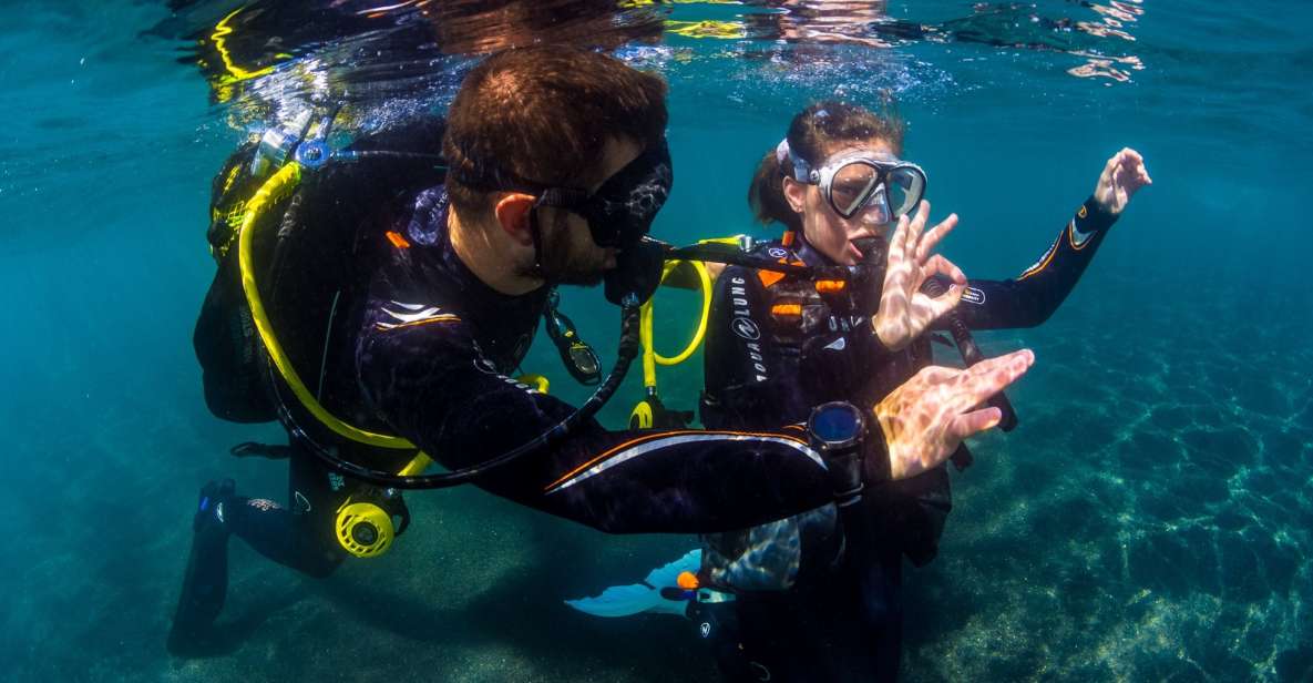Santa Cruz de Tenerife: Beginner's Diving & Introduction - The 3-Hour Flow: From Gear Talk to a 6-Meter Underwater Session