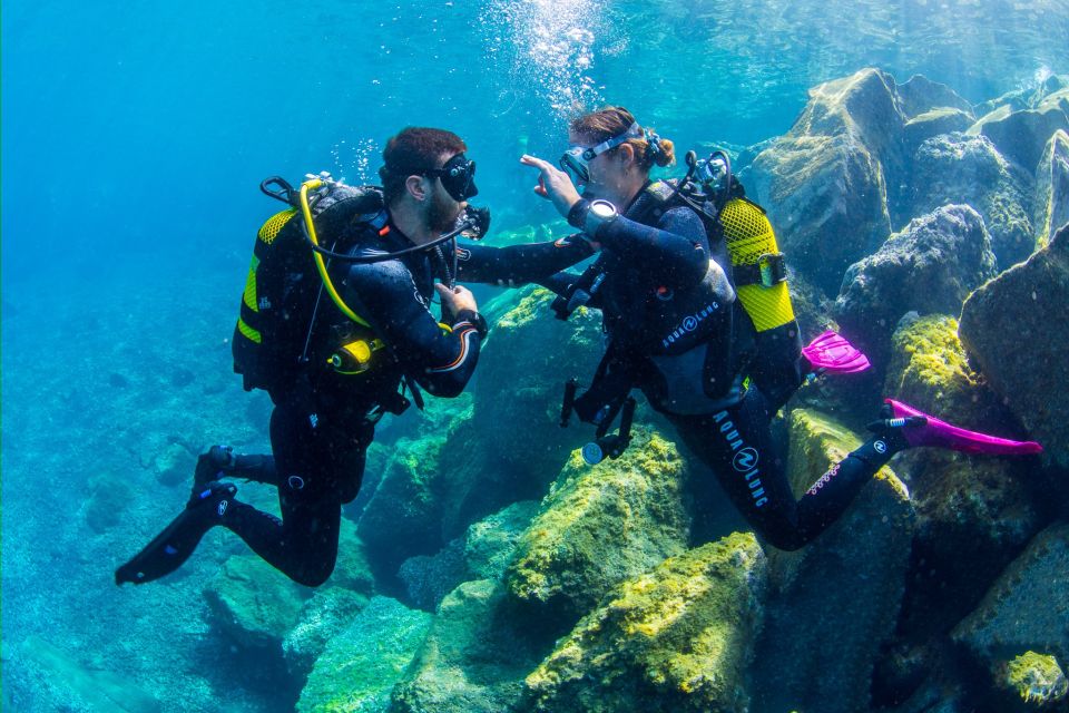 Santa Cruz de Tenerife: Beginner's Diving & Introduction - Equipment Basics That Save Your Focus Underwater