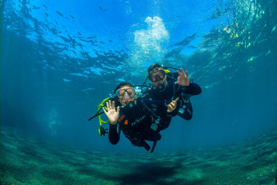Santa Cruz de Tenerife: Beginner's Diving & Introduction - Who Should Book This Intro Scuba Session (and Who Should Skip It)