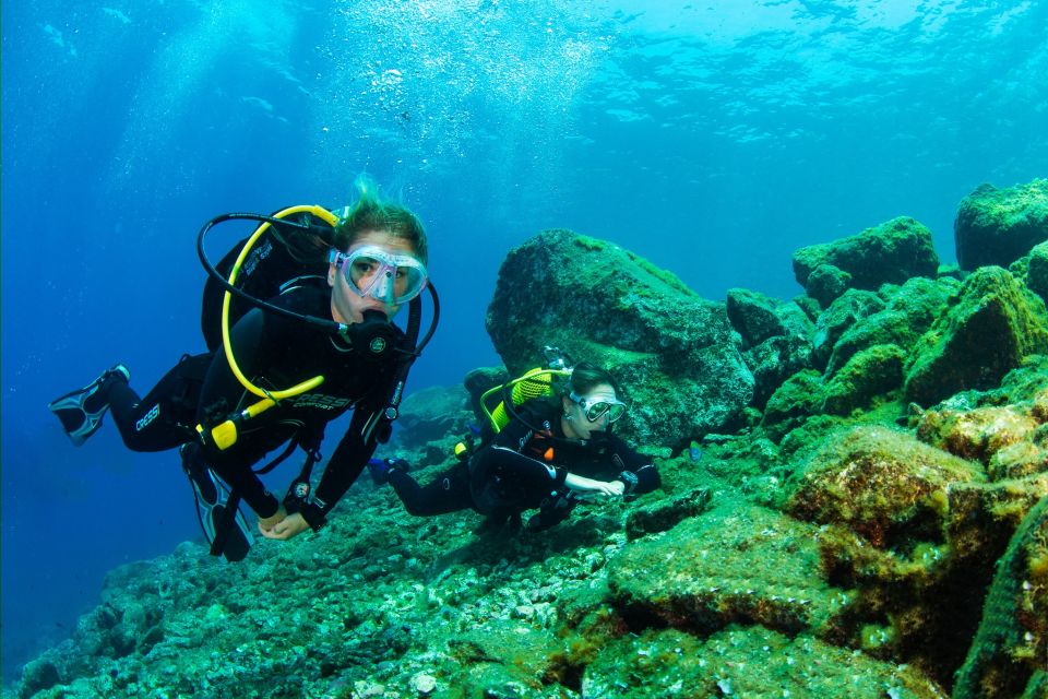 Santa Cruz de Tenerife: Beginner's Diving & Introduction - Macaronesian Setup: Small Groups, English Support, Real Safety Tone