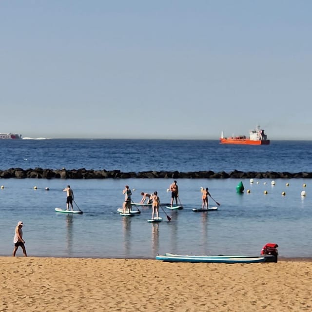 Santa Cruz de Tenerife: Las Teresitas Stand Up Paddle Course - Key takeaways before you go