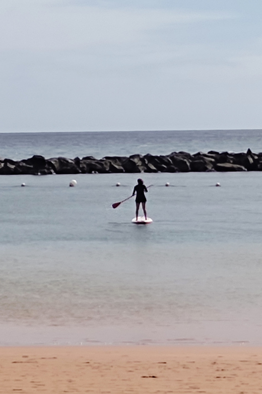 Santa Cruz de Tenerife: Las Teresitas Stand Up Paddle Course - What’s included, what’s not, and what to bring
