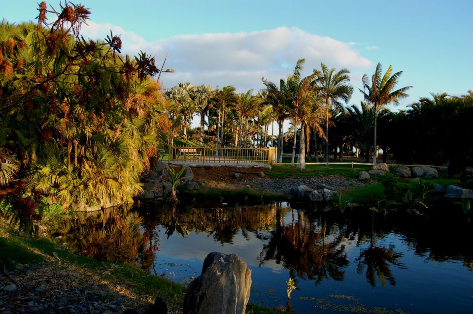 Santa Cruz de Tenerife Palmetum Entry Ticket - How the walk flows: from entrance to viewpoints