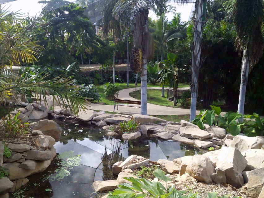 Santa Cruz de Tenerife Palmetum Entry Ticket - Plants aren’t the only show: birds, butterflies, and shady corners