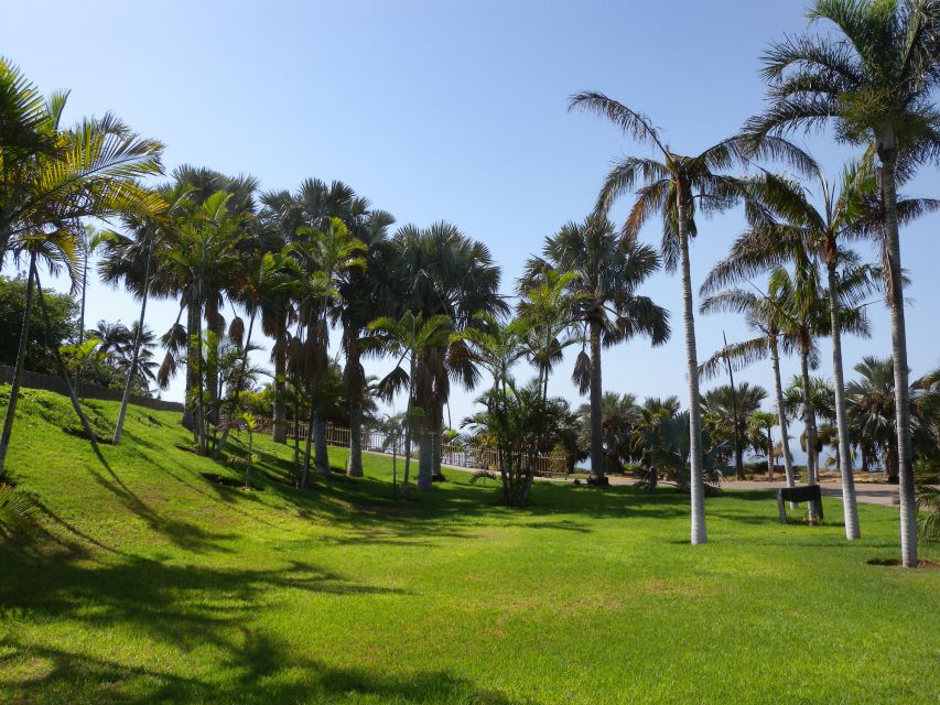 Santa Cruz de Tenerife Palmetum Entry Ticket - Price and what you really get for a day ticket