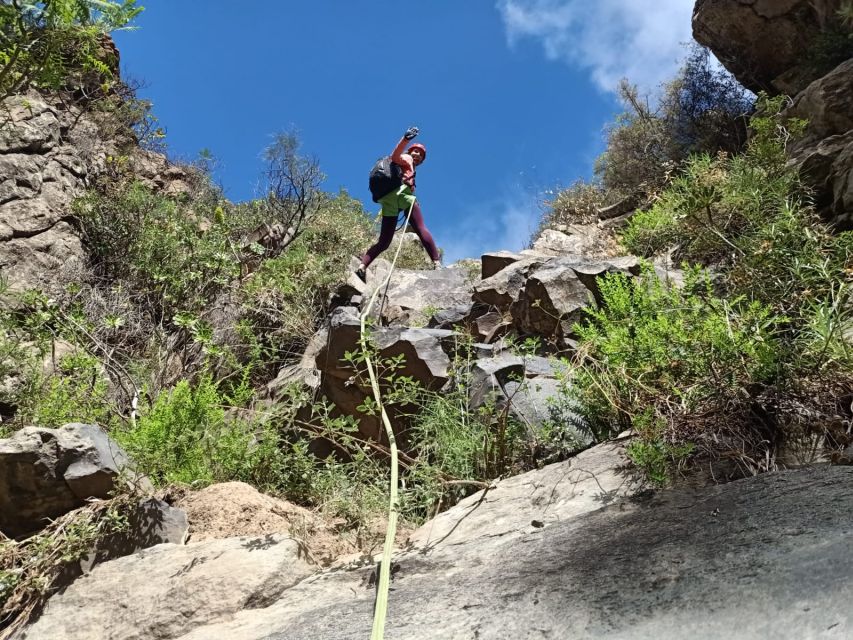 Santa Cruz de Tenerife: Vilaflor Canyoning Tour - Price and value: what you’re really paying for at $77