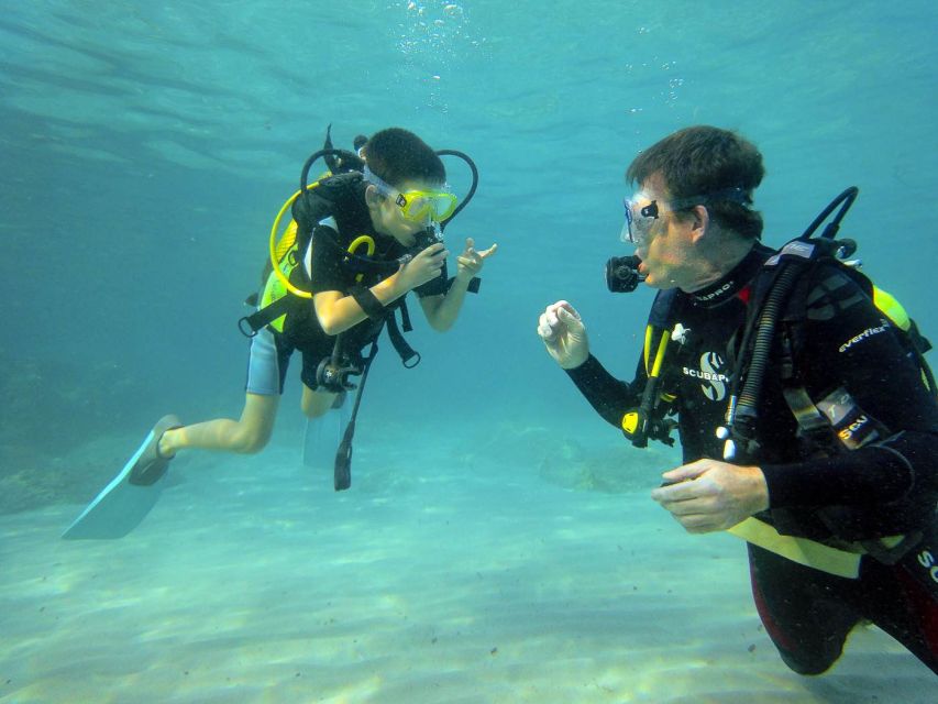 Santa Ponsa: Try Scuba Diving in a Marine Reserve - Malgrats Marine Reserve: why this site feels different