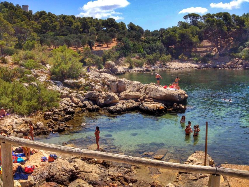 Santa Ponta/Peguera: Dragonera Island Cruise with Swim Stop - Mallorca Explorer speed and the southwest coastline you actually see