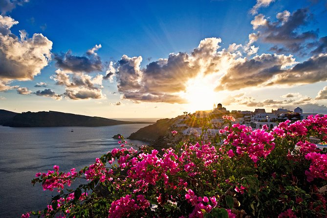 Santorini: 6hr Private Tour with Olive Oil, Beer or Wine Tasting - Sant Organics farm time: organic farming and an olive oil tasting