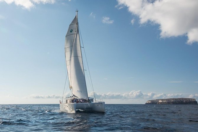Santorini Caldera Sailing Tour with BBQ Lunch and Drinks - BBQ Lunch and Unlimited Drinks: Real Value, Not a Snack