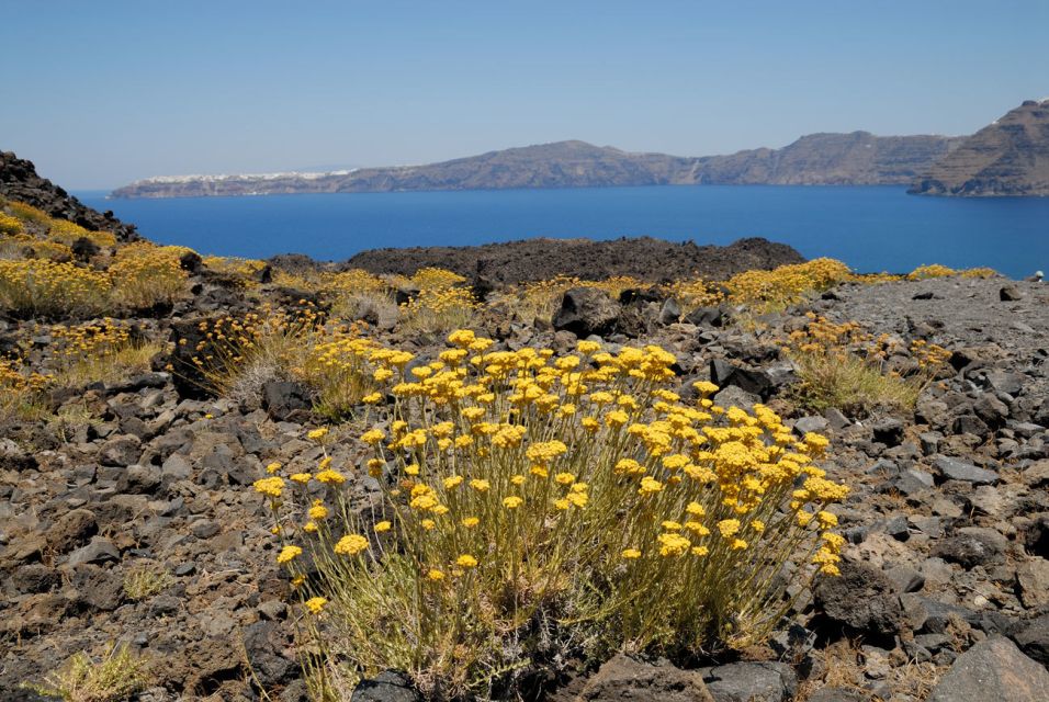Santorini Caldera: Sunset Cruise with Dinner - Thirasia Island: a smaller sister to Santorini