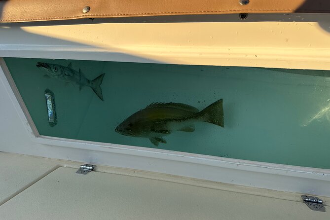 Santorini Fishing Private Cruise boat tour - BBQ, Snorkeling - What makes this private tour feel worth the price