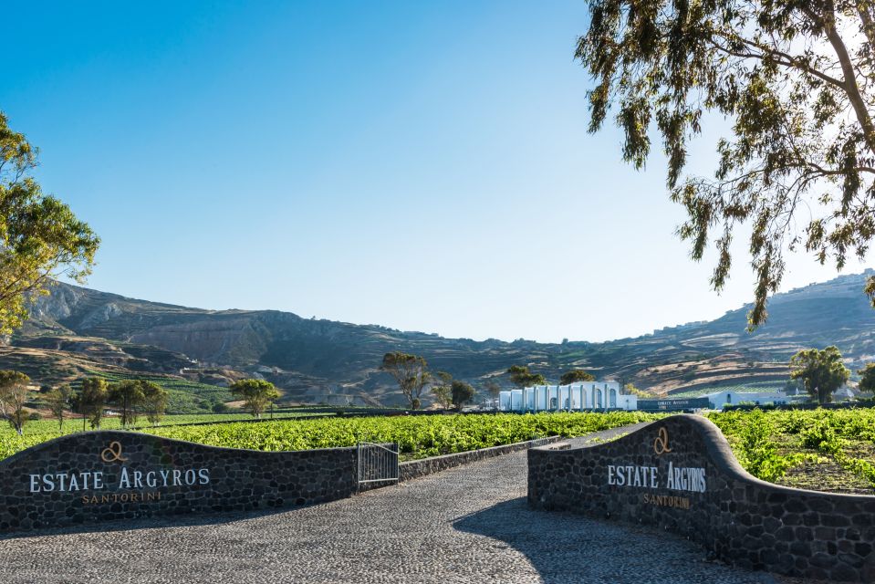 Santorini: Guided Wineries Private Tour with Wine Tastings - Should you book this Santorini private wine tour?