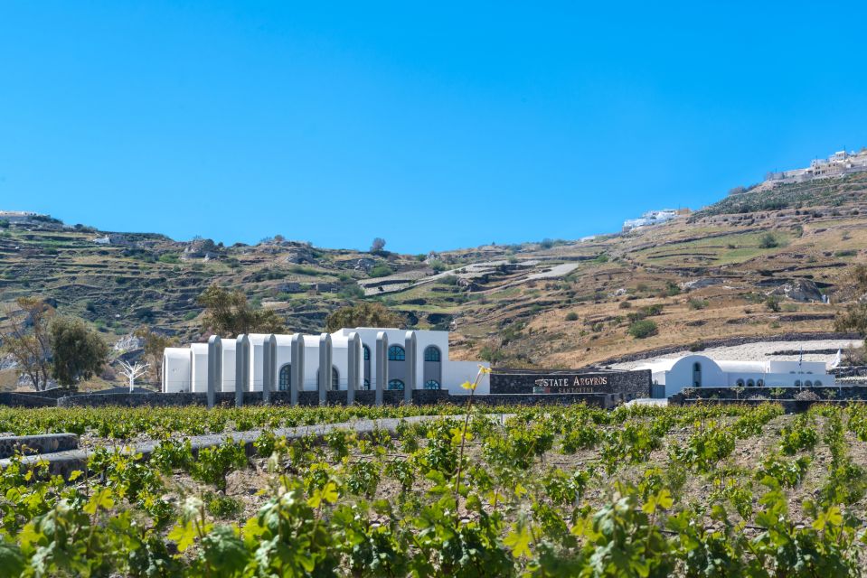 Santorini: Guided Wineries Private Tour with Wine Tastings - Guides and transport: why the day feels smooth