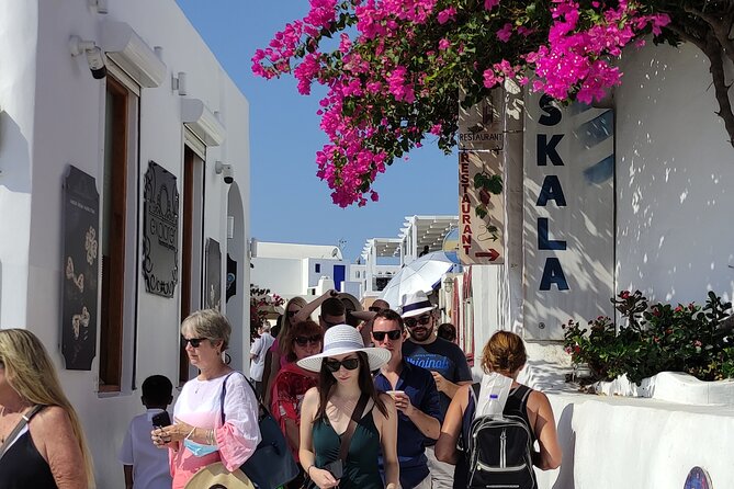 Santorini: Half-Day Island Sightseeing Tour - Guide quality: the names that show up for a reason